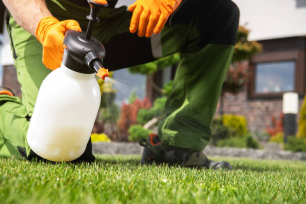 Professional Pest Control in Homeland Park, SC