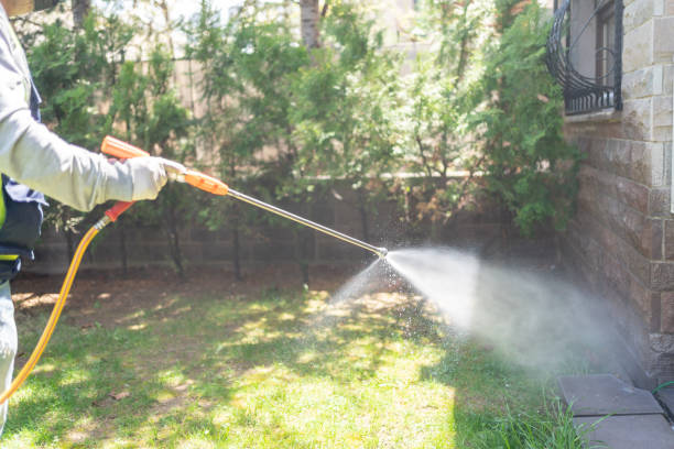 Best Emergency Pest Control  in Homeland Park, SC