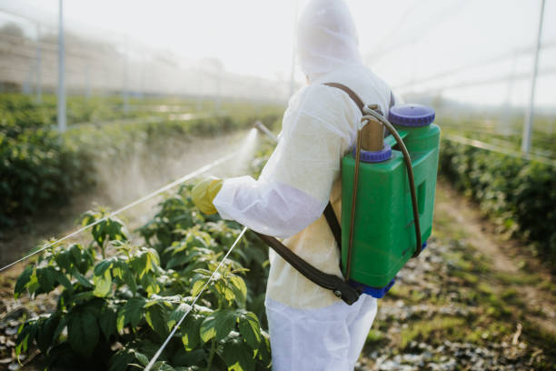 Best Insect Control  in Homeland Park, SC